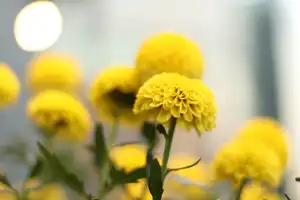 2025-10-00 Osaka, Japan - Osaka (72).webp